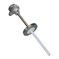 WZP2-431F防腐熱電阻