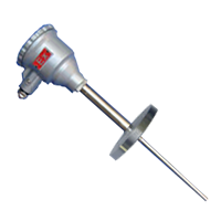 WRNK2-440防爆鎧裝熱電偶