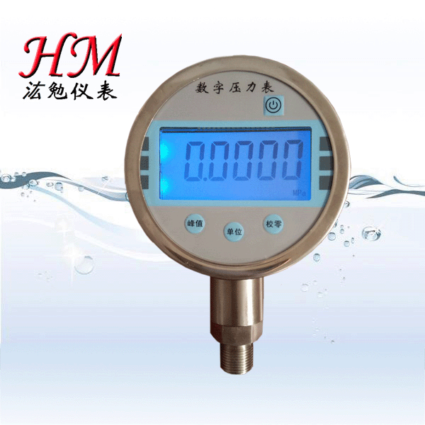 YS-100型數字顯示壓力表